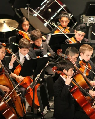 Vienna Light Orchestra