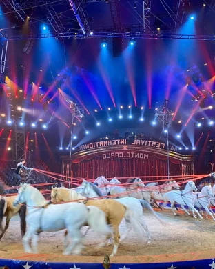 Summer Circus Spectacular Sarasota