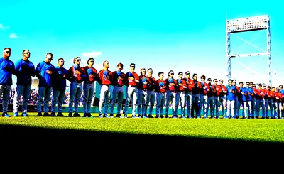 Florida Gators Baseball