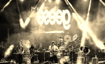 Geese - Band
