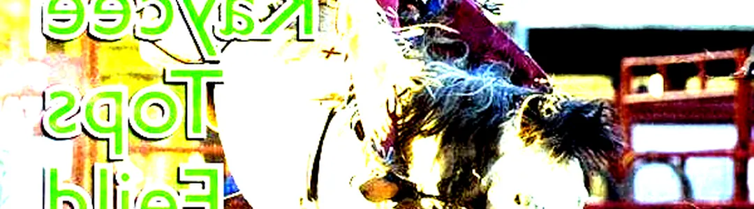 Pro Rodeo