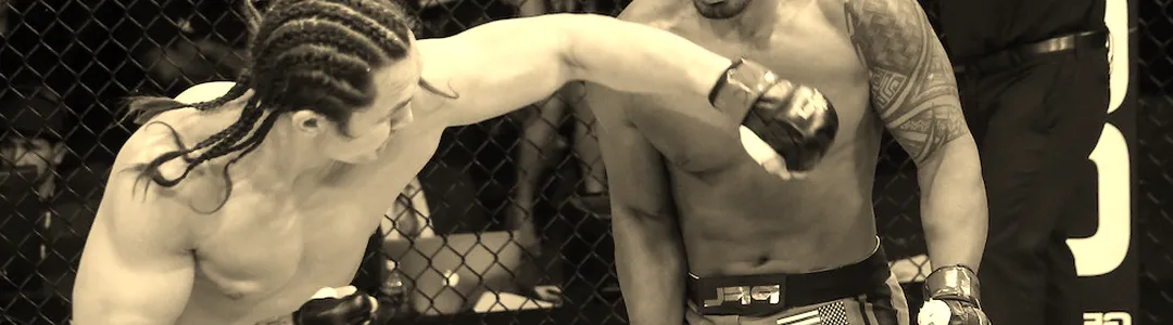 PFL - Professional Fighters League