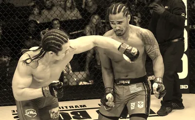 PFL - Professional Fighters League