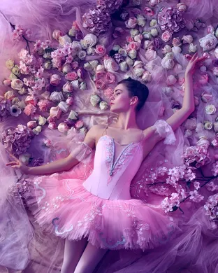 The Sleeping Beauty - Ballet