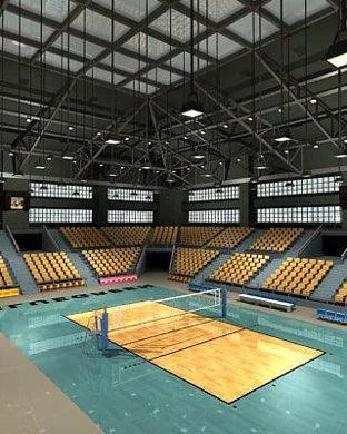 South Florida Bulls Women's Volleyball Tampa